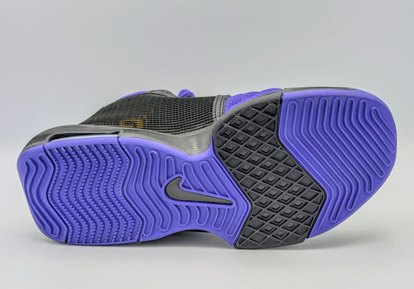 EUR 40 Nike Lebron Witness 8 Lakers Black/Field Purple (FB2239-001)
